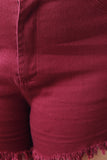High Waisted Frayed Hem Denim Shorts