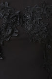 Floral Applique Mesh Sleeves Sheath Dress