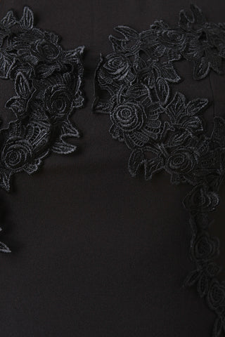Floral Applique Mesh Sleeves Sheath Dress
