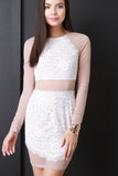 Semi-Sheer Mesh and Lace Mini Dress