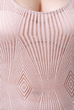 Sleeveless Semi Sheer Mesh Midi Dress